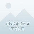 男神是怎样炼成的TXT